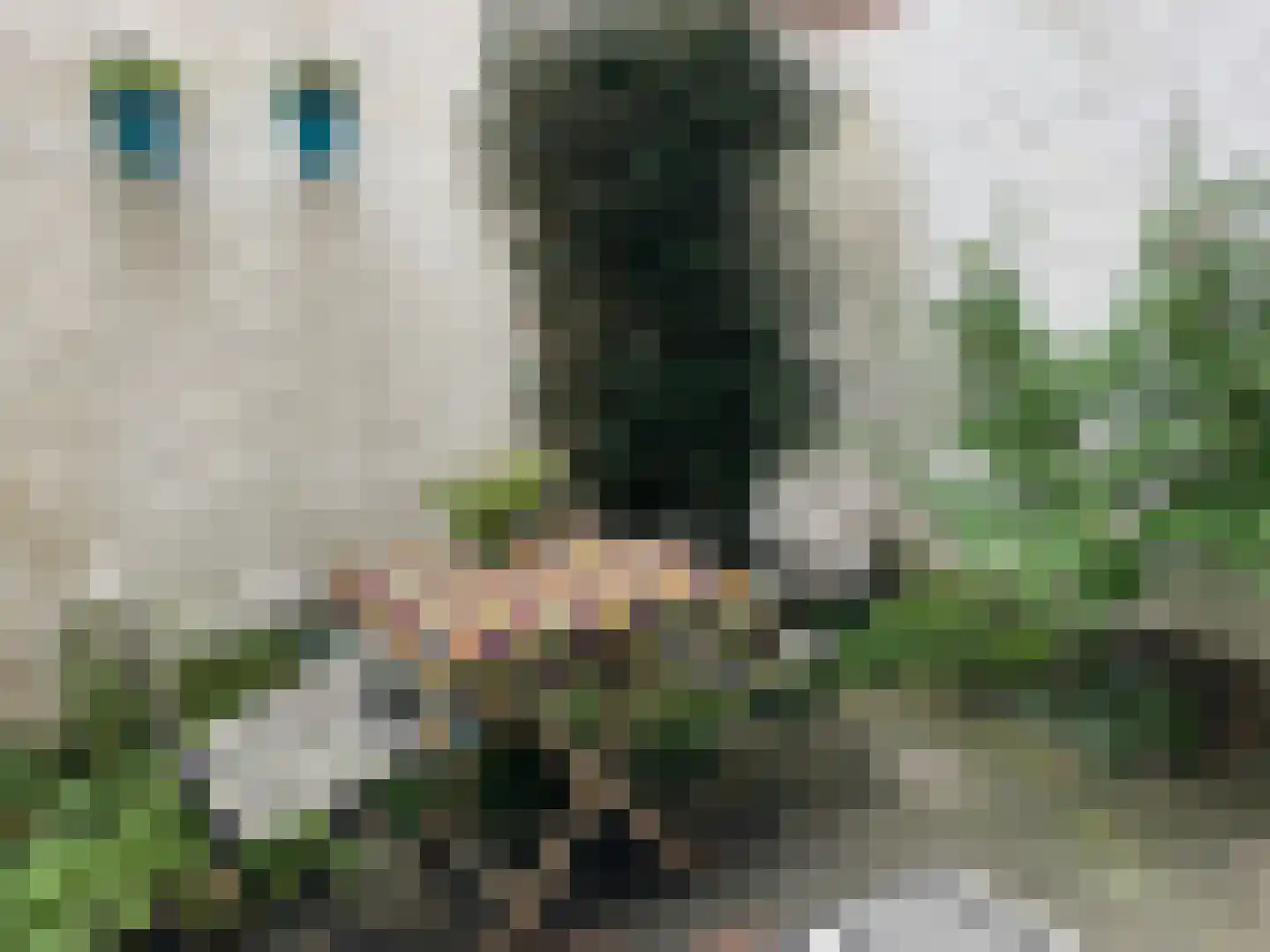 van Goorstraat 91 Nijmegen thumbnail 32