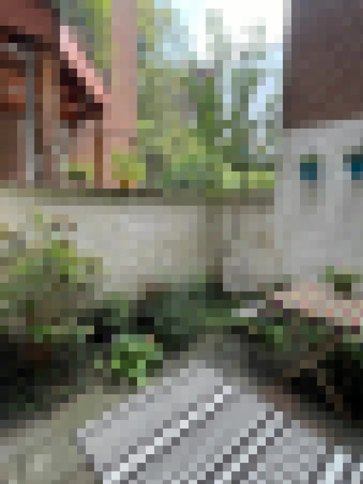 van Goorstraat 91 Nijmegen thumbnail 33