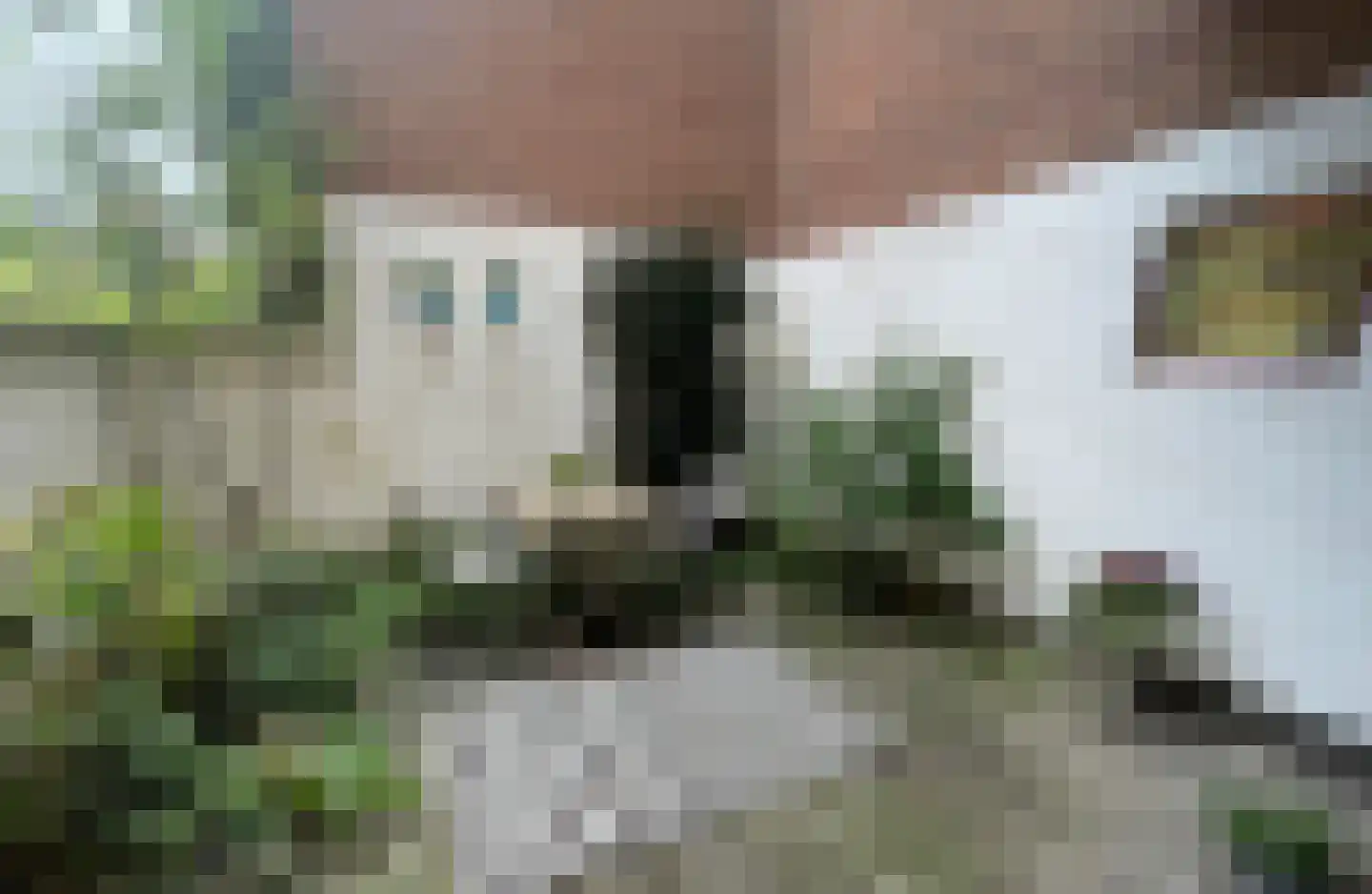 van Goorstraat 91 Nijmegen thumbnail 35