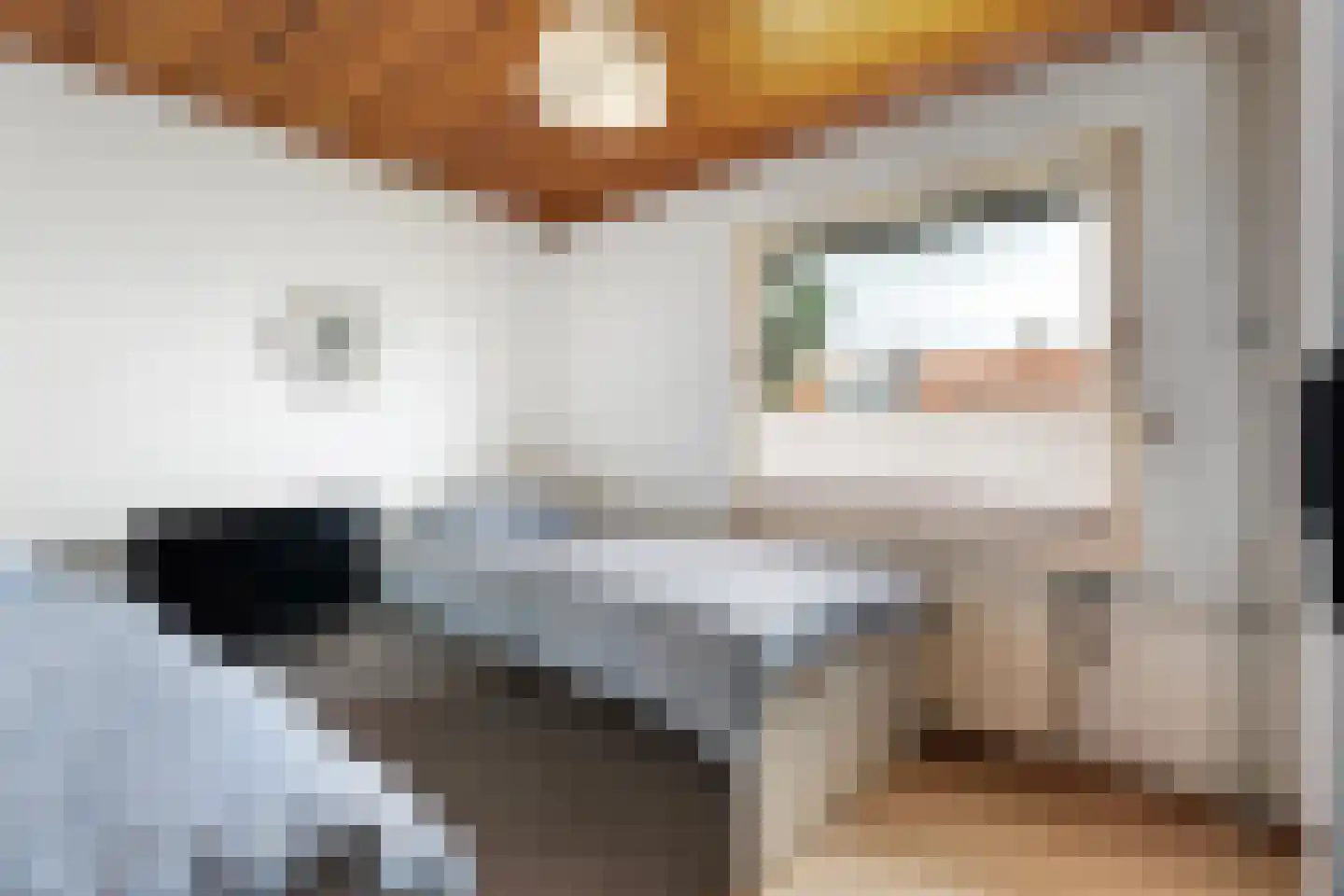 Van Goudoeverstraat 1 Geleen thumbnail 13
