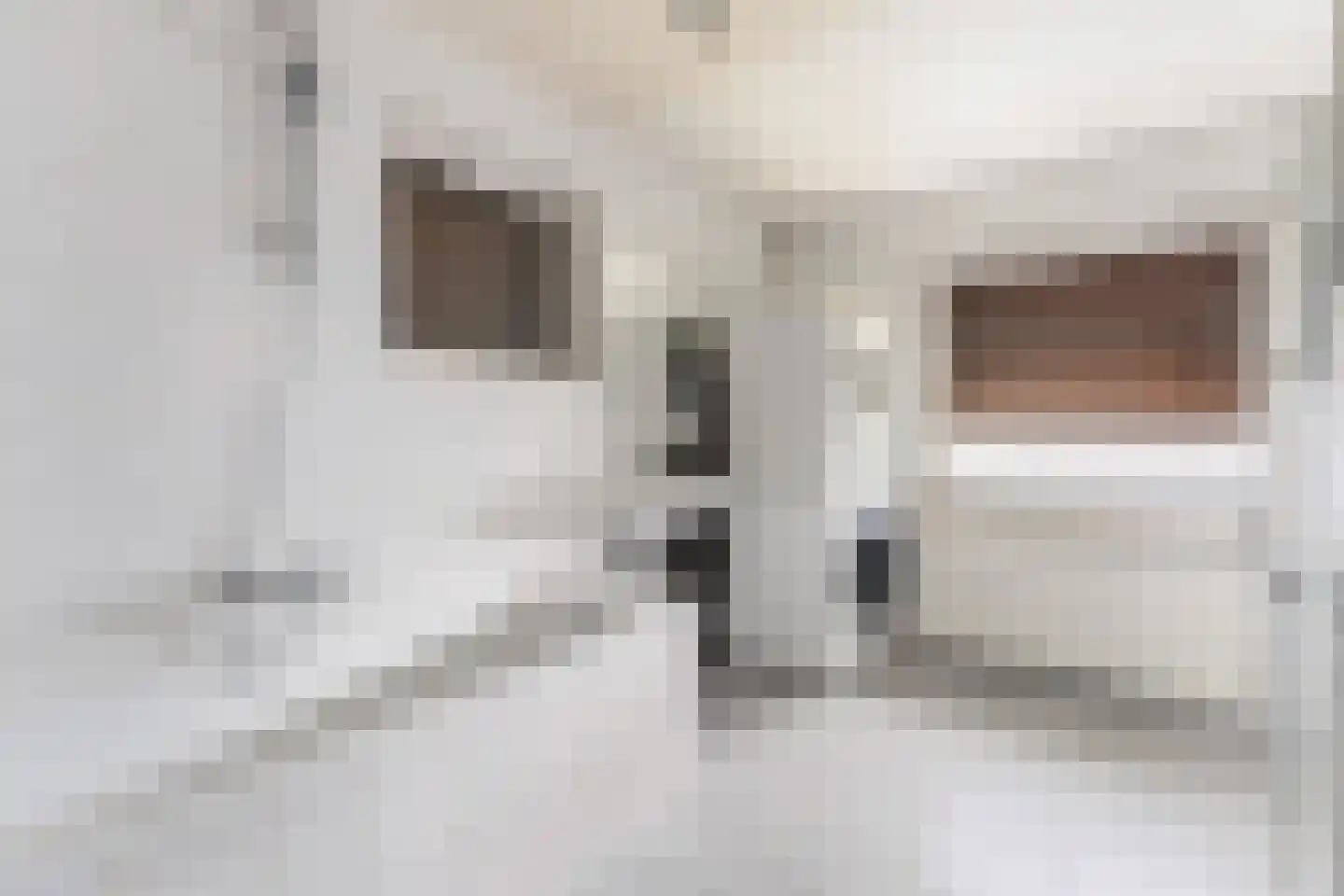 Van Goudoeverstraat 1 Geleen thumbnail 14