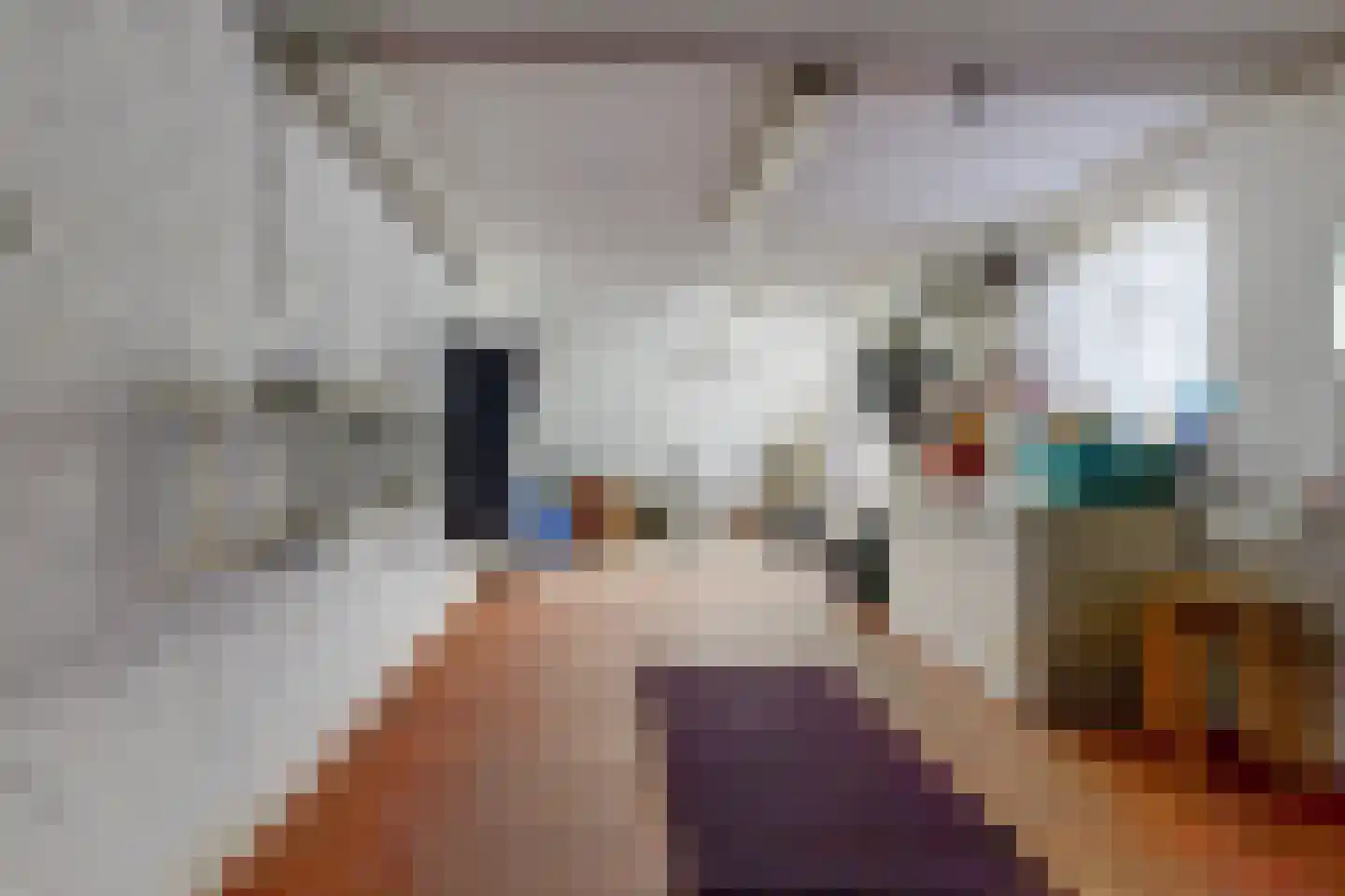 Van Goudoeverstraat 1 Geleen thumbnail 21