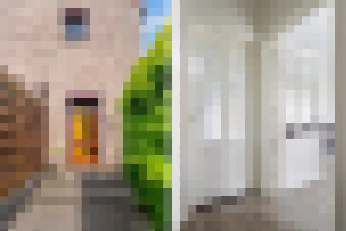 Van Goudoeverstraat 1 Geleen thumbnail 4