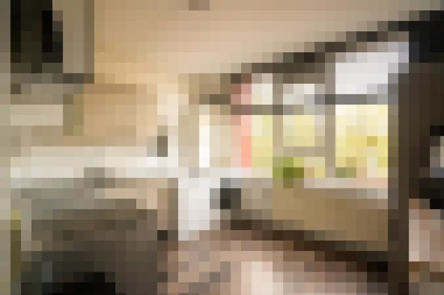 Van Goudoeverstraat 133 Gorinchem thumbnail 17