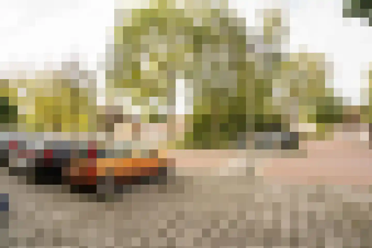 Van Goudoeverstraat 133 Gorinchem thumbnail 36