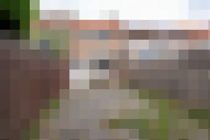 Van Goudoeverstraat 51 Geleen thumbnail 20