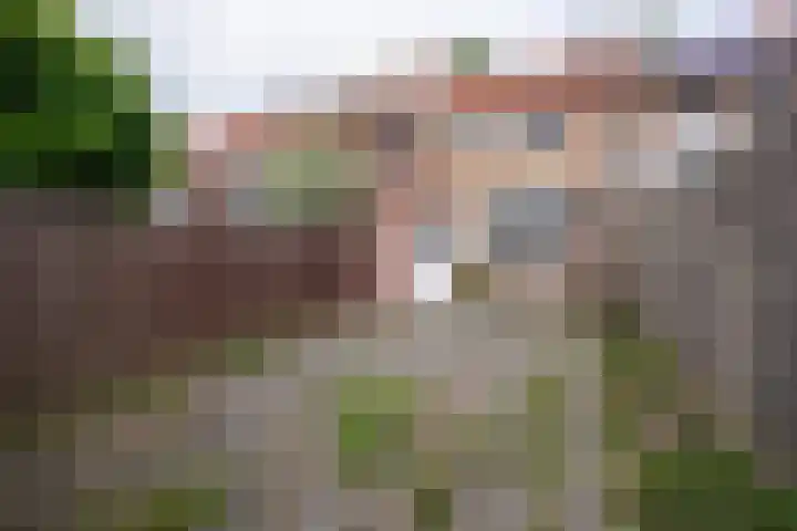 Van Goudoeverstraat 51 Geleen thumbnail 21