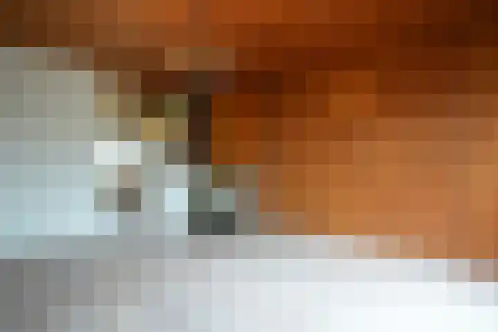 Van Goudoeverstraat 51 Geleen thumbnail 7