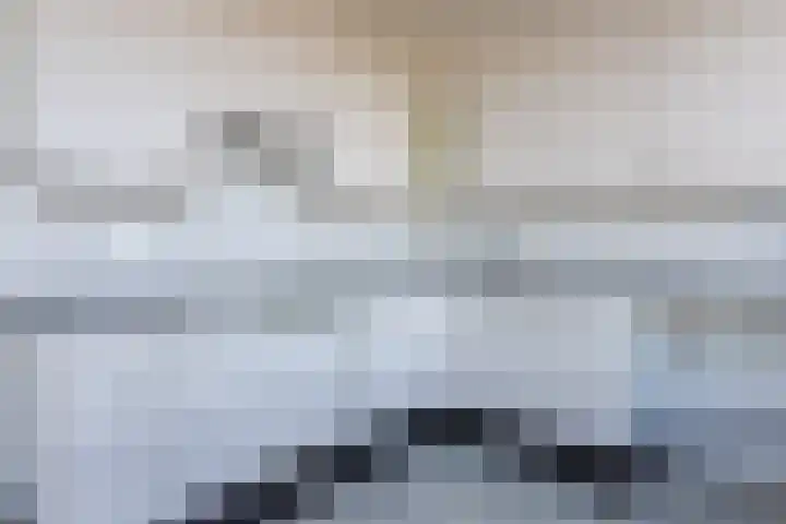 Van Goudoeverstraat 91 Gorinchem thumbnail 4