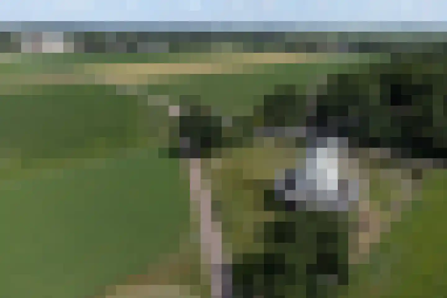 van Goyenlaan 11 Soest thumbnail 48