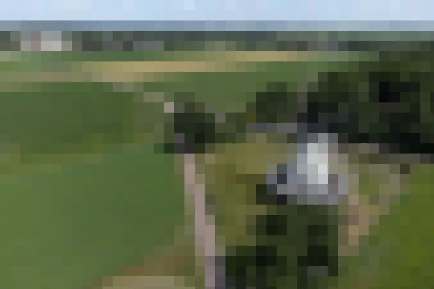 van Goyenlaan 11 Soest thumbnail 48