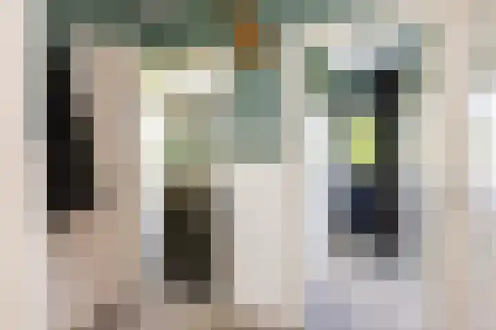 van Goyenlaan 121 Soest thumbnail 15