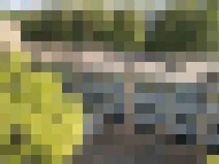 van Goyenlaan 121 Soest thumbnail 23