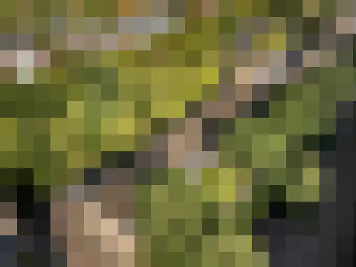 van Goyenlaan 121 Soest thumbnail 25