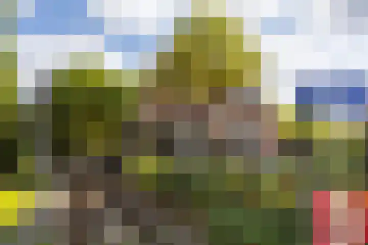 van Goyenlaan 121 Soest thumbnail 27