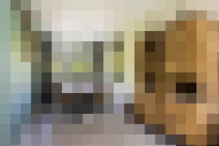 van Goyenlaan 121 Soest thumbnail 4