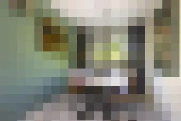 van Goyenlaan 121 Soest thumbnail 8