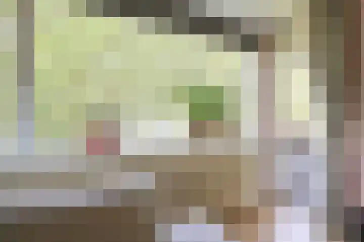 van Goyenlaan 123 Soest thumbnail 11