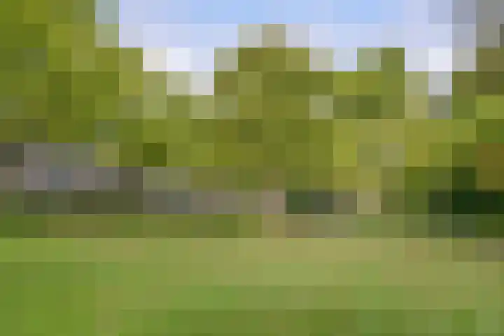 van Goyenlaan 123 Soest thumbnail 22