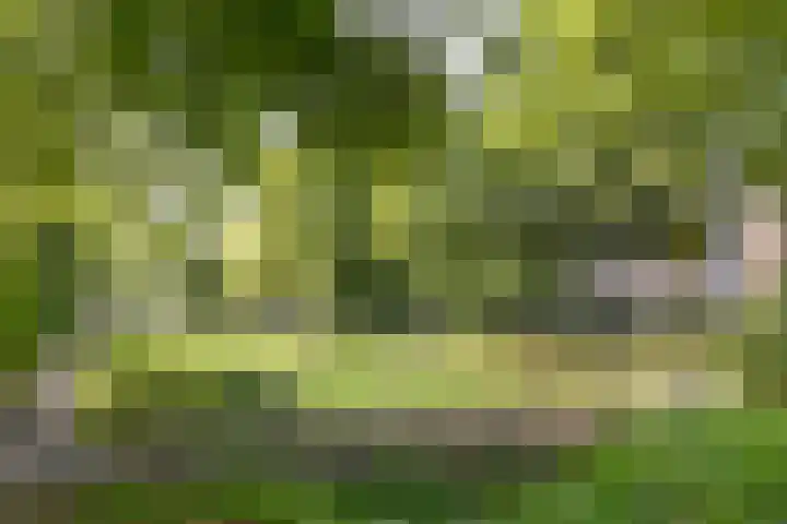 van Goyenlaan 123 Soest thumbnail 23