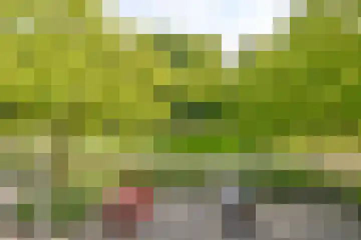 van Goyenlaan 123 Soest thumbnail 5
