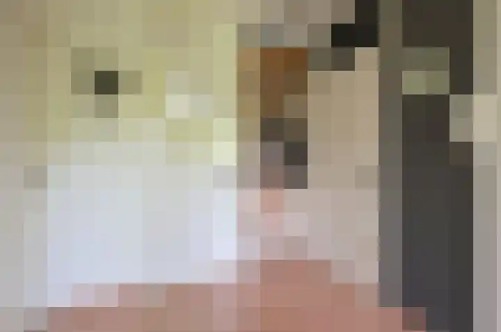 van Goyenlaan 123 Soest thumbnail 7