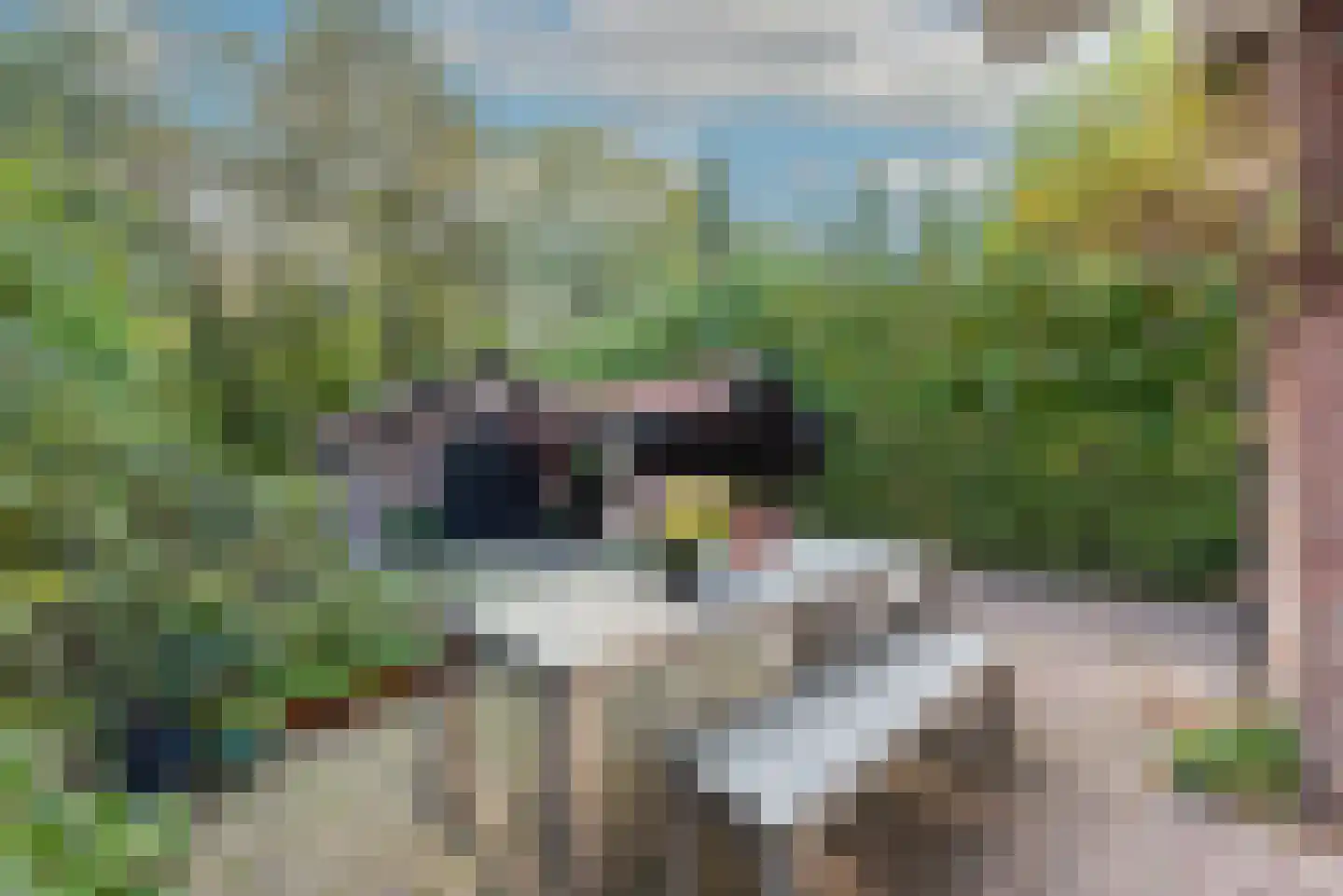 Van Goyenlaan 15 Bilthoven thumbnail 12
