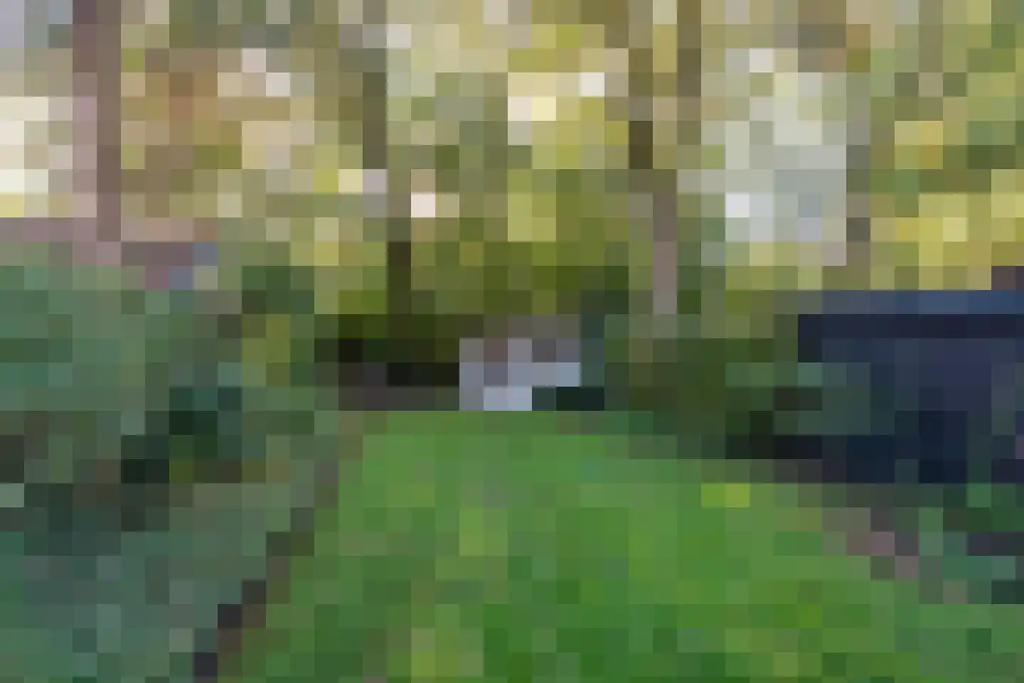 Van Goyenlaan 15 Bilthoven thumbnail 16