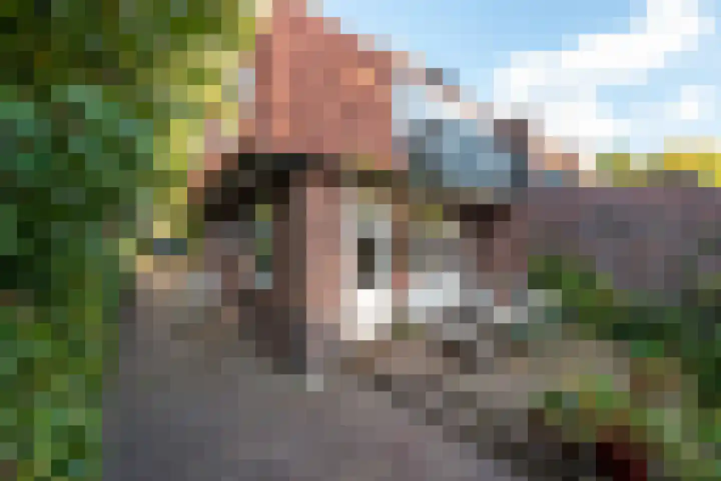 Van Goyenlaan 15 Bilthoven thumbnail 19