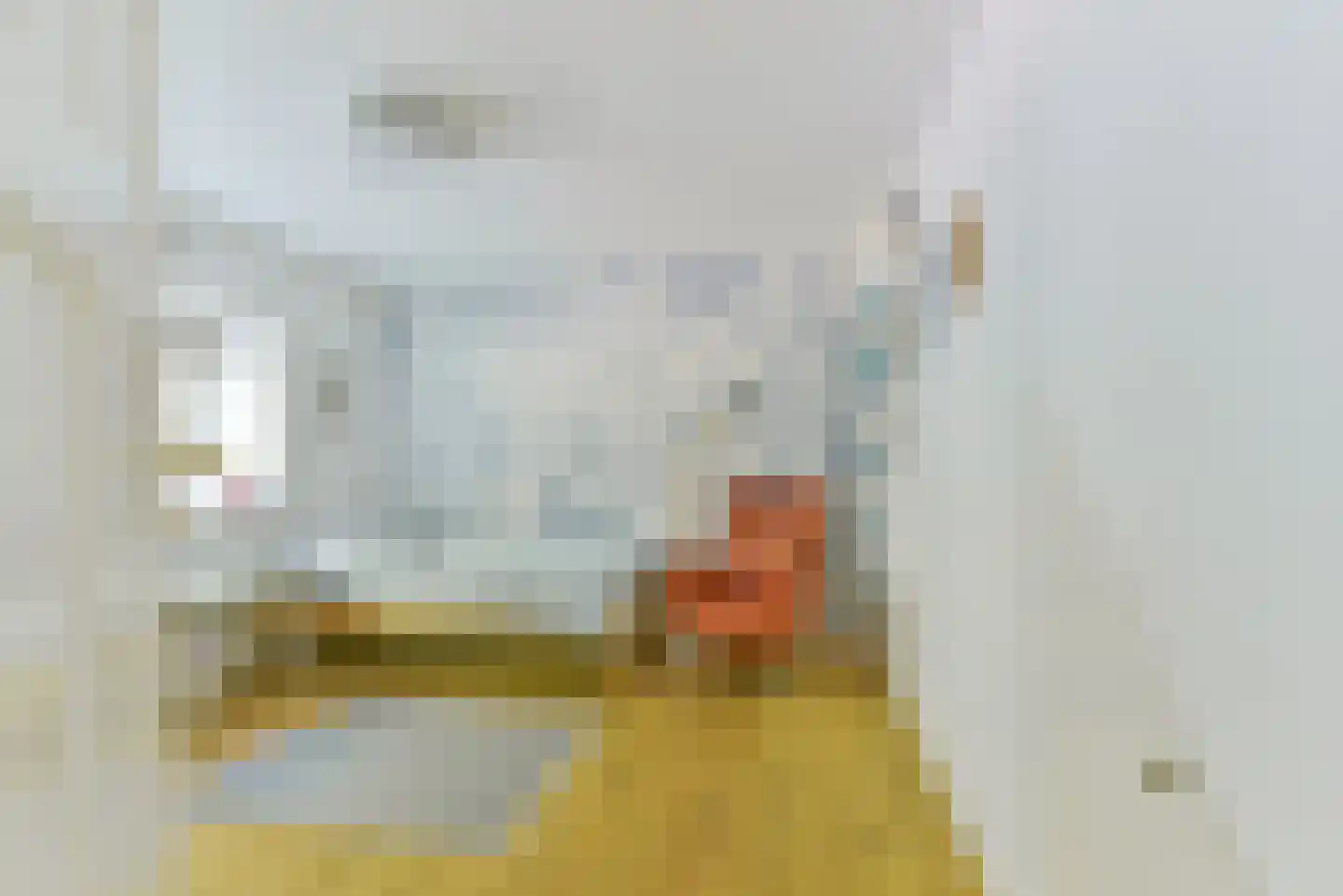 Van Goyenlaan 15 Bilthoven thumbnail 27