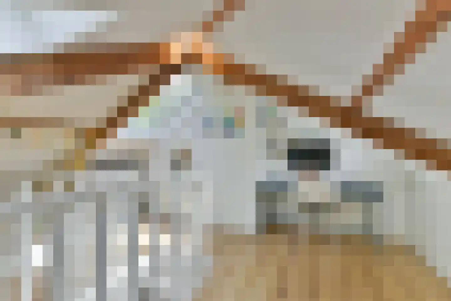 Van Goyenlaan 15 Bilthoven thumbnail 37