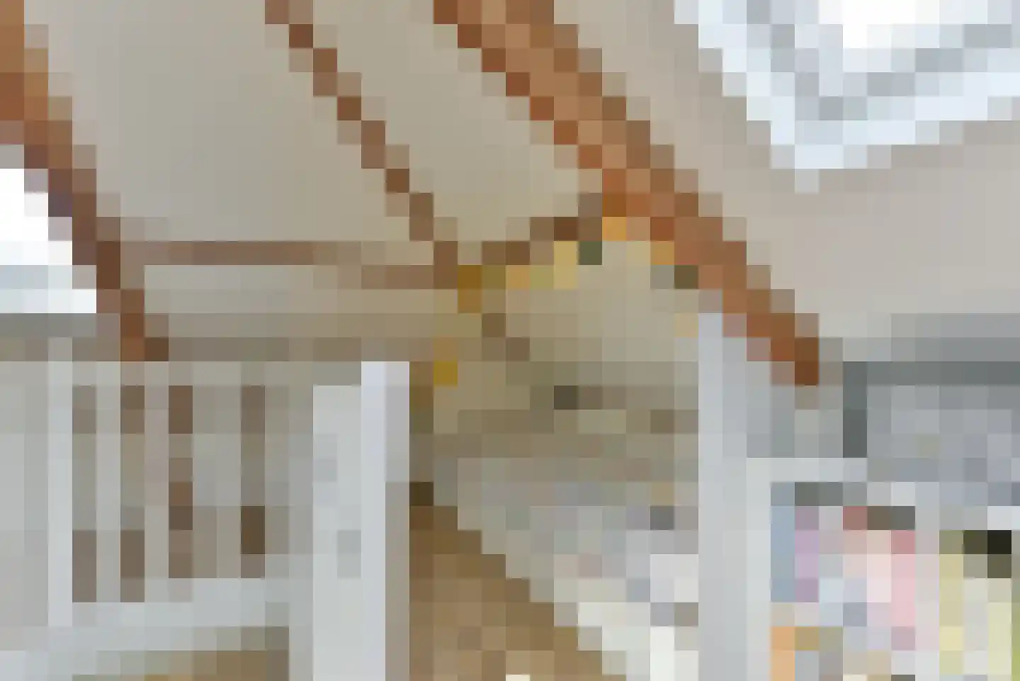 Van Goyenlaan 15 Bilthoven thumbnail 39