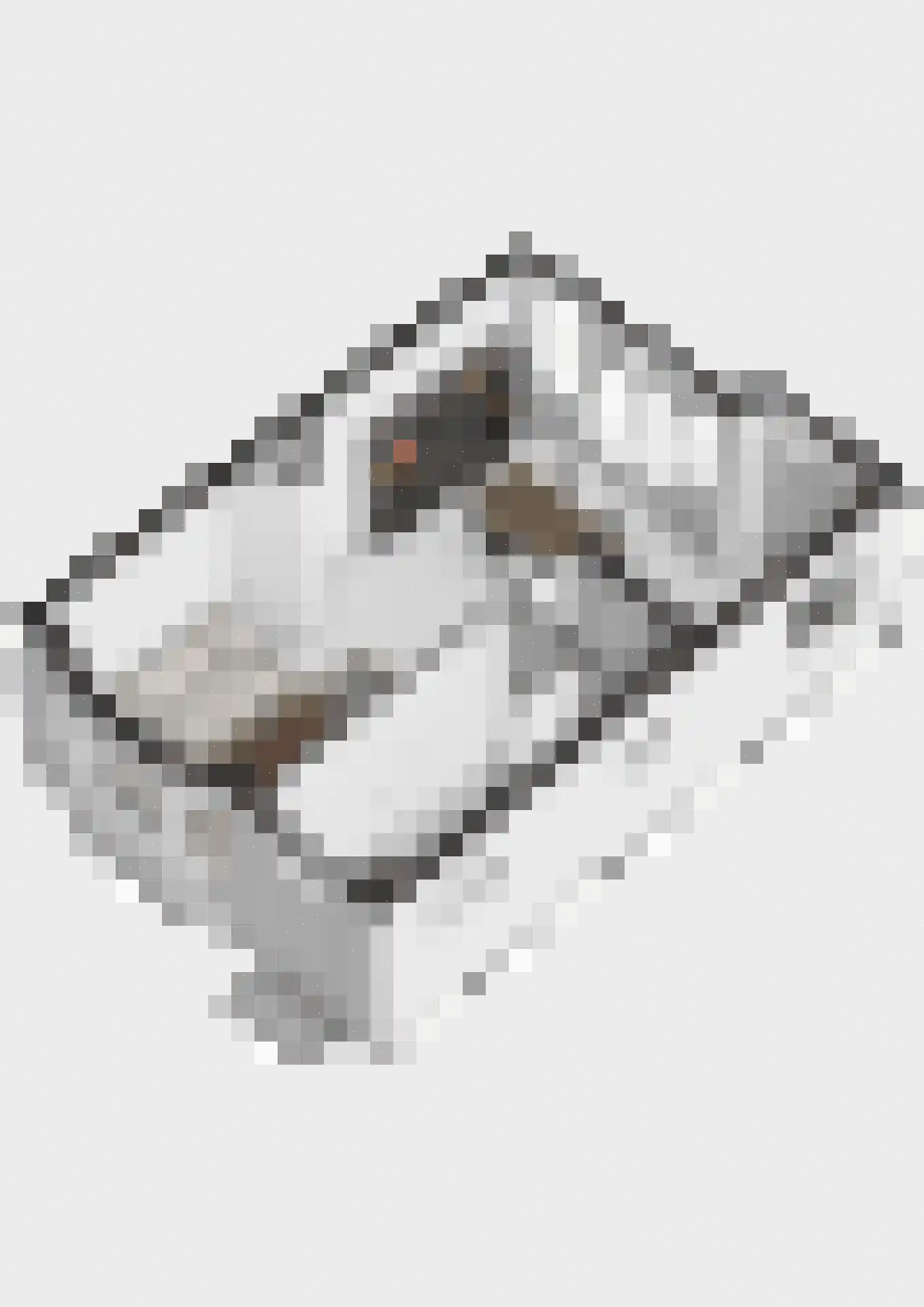 Van Goyenlaan 15 Bilthoven thumbnail 50