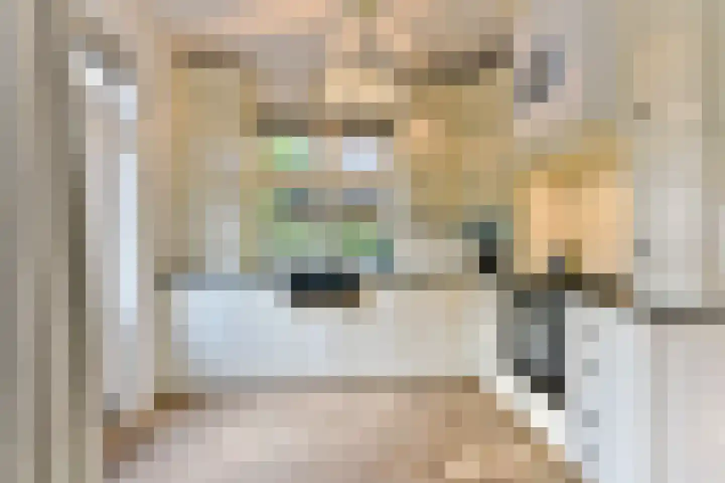 Van Goyenlaan 15 Bilthoven thumbnail 8