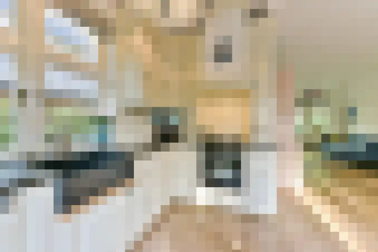 Van Goyenlaan 15 Bilthoven thumbnail 9