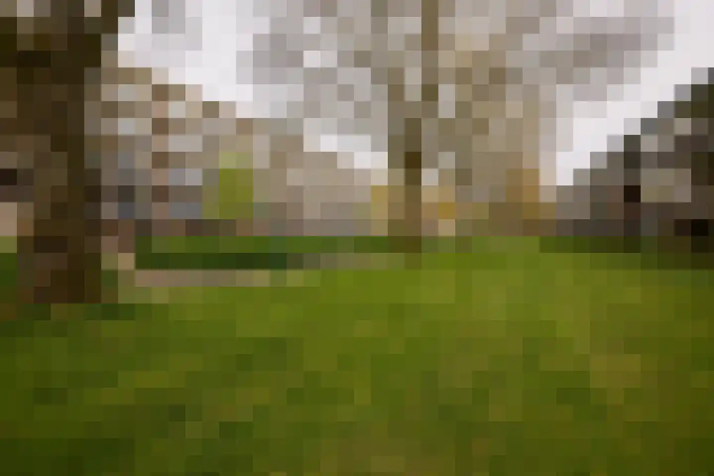 van Goyenlaan 150 Soest thumbnail 28