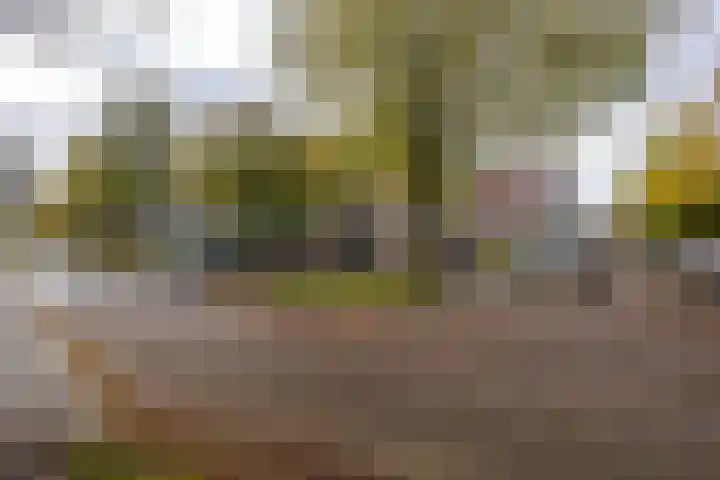 van Goyenlaan 158 Soest thumbnail 10
