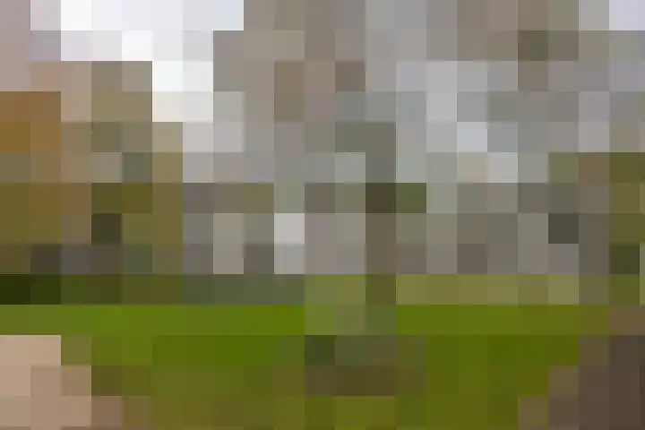 van Goyenlaan 158 Soest thumbnail 11