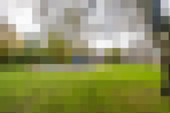 van Goyenlaan 158 Soest thumbnail 12