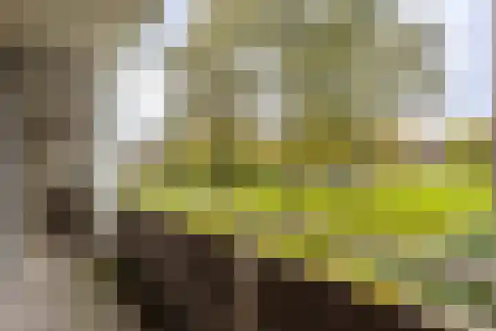 van Goyenlaan 158 Soest thumbnail 5