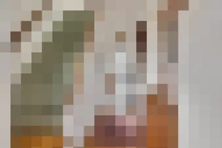 van Goyenlaan 16 Soest thumbnail 11