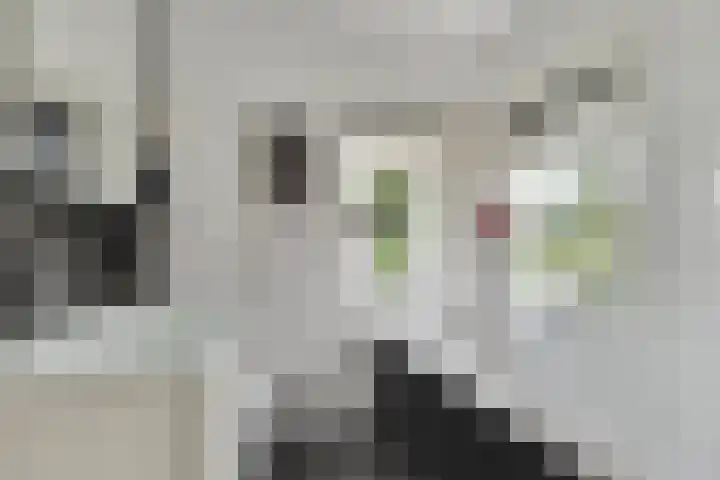 van Goyenlaan 16 Soest thumbnail 21