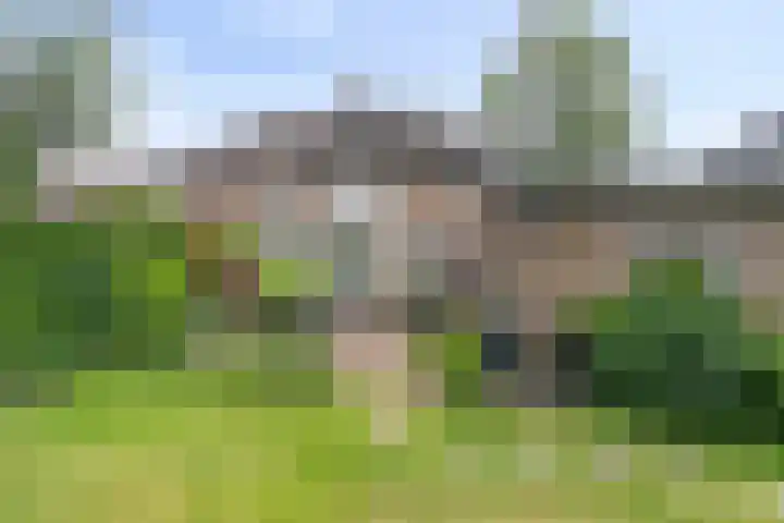 van Goyenlaan 16 Soest thumbnail 32