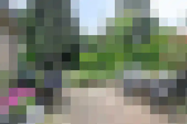 van Goyenlaan 16 Soest thumbnail 33