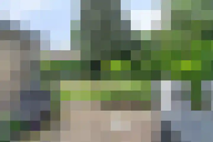 van Goyenlaan 16 Soest thumbnail 34