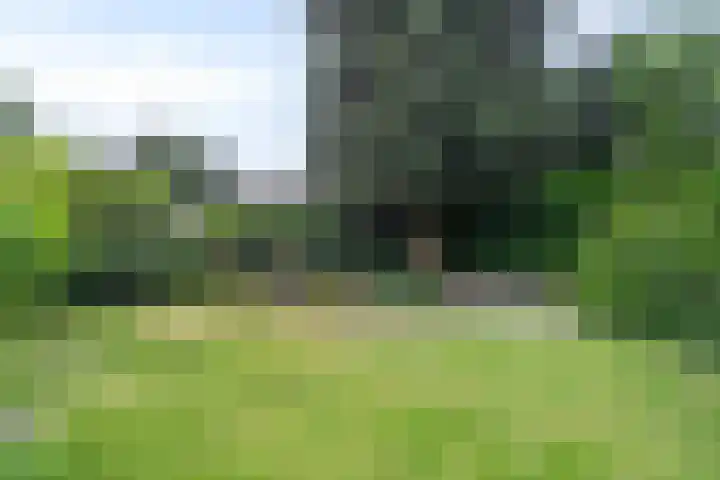 van Goyenlaan 16 Soest thumbnail 35