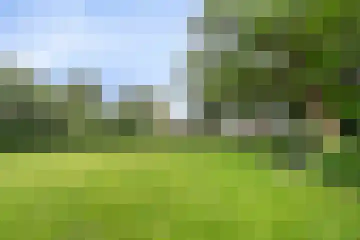 van Goyenlaan 16 Soest thumbnail 37