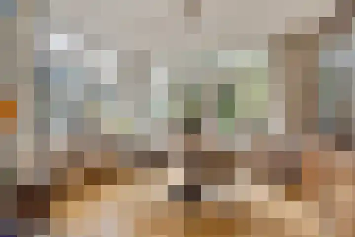 van Goyenlaan 16 Soest thumbnail 7