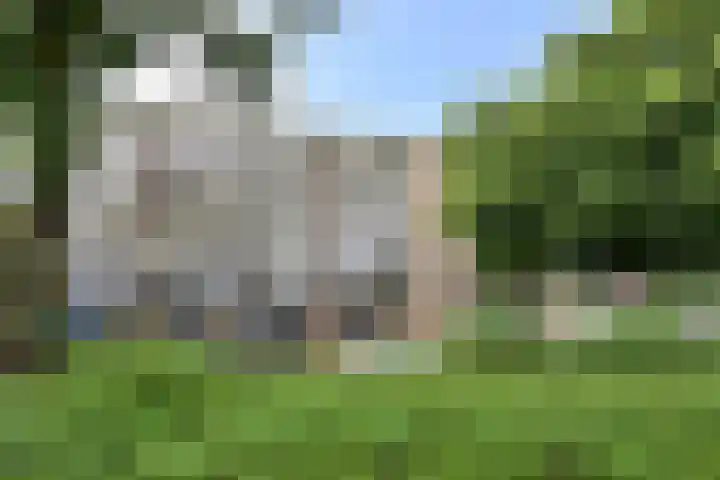 van Goyenlaan 160 Soest thumbnail 12