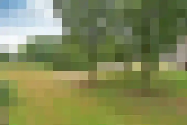 van Goyenlaan 160 Soest foto 3